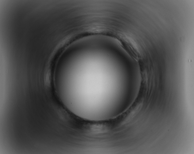 X0000093230400200710101407