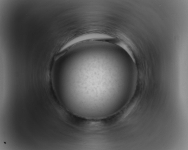 X0000093230401200710101407