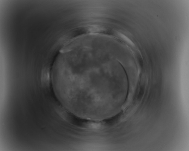 X0000093230405200710101407