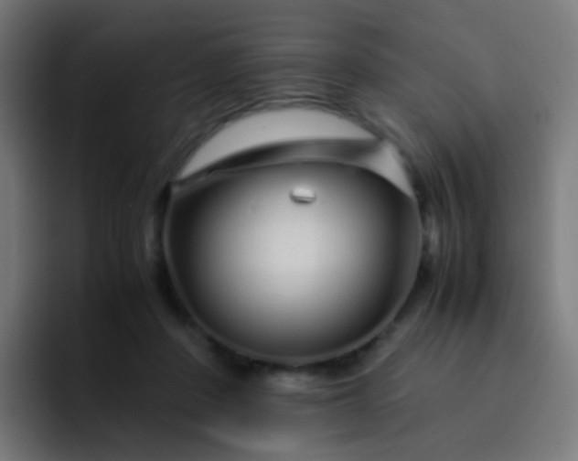 X0000093230408200710101407