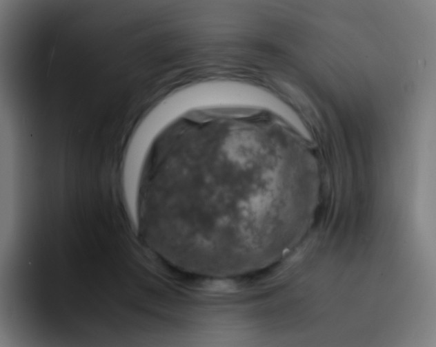 X0000093230409200710101407