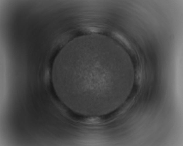 X0000093230410200710101407