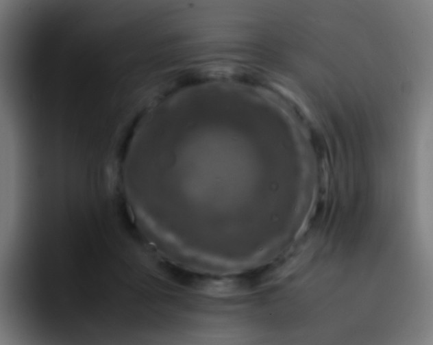 X0000093230411200710101407