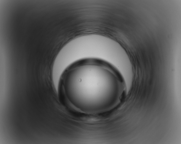 X0000093230412200710101407