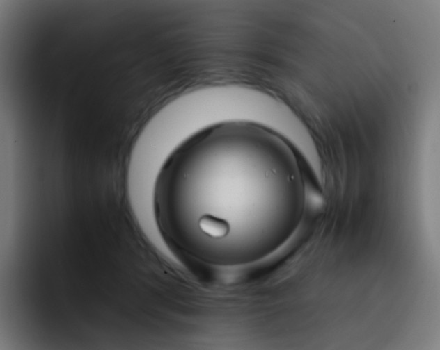 X0000093230416200710101407