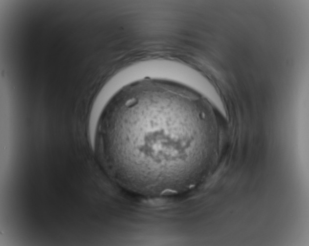 X0000093230417200710101407