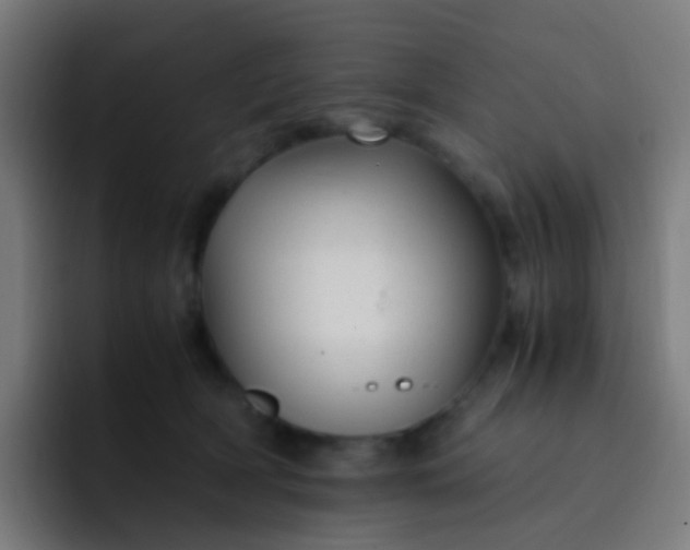 X0000093230418200710101407