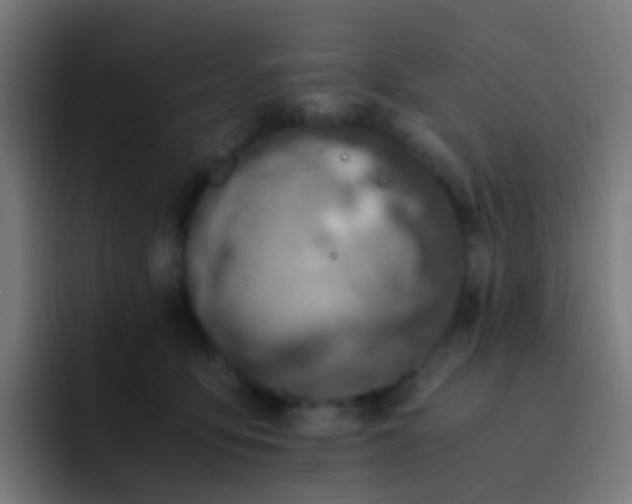 X0000093230419200710101407