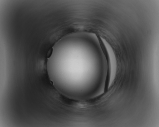 X0000093230420200710101407