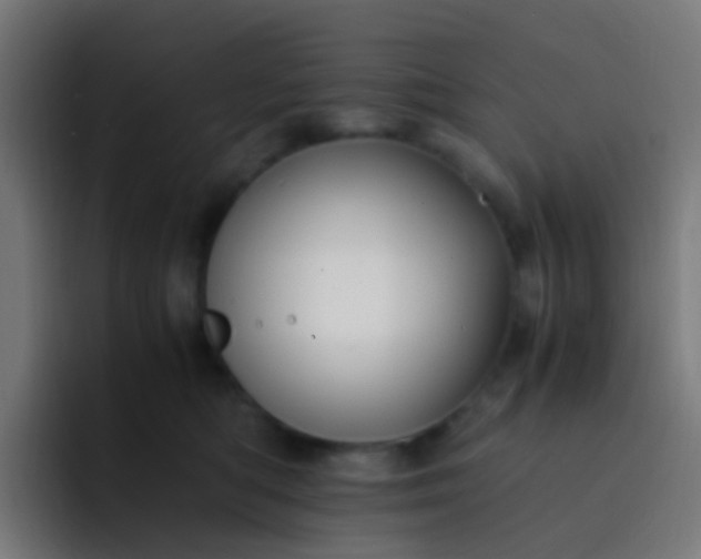 X0000093230422200710101407