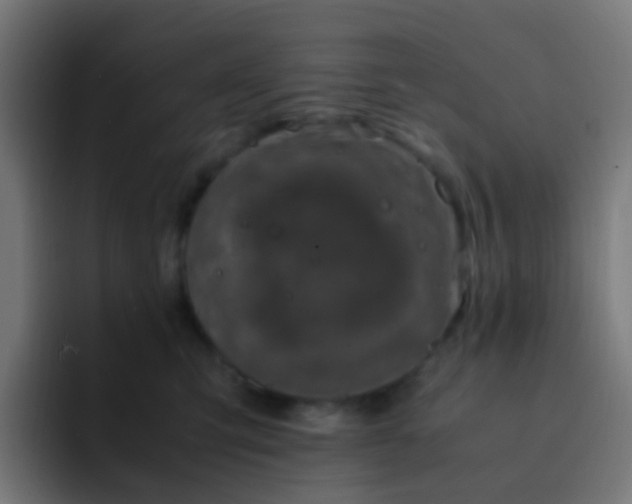 X0000093230423200710101407