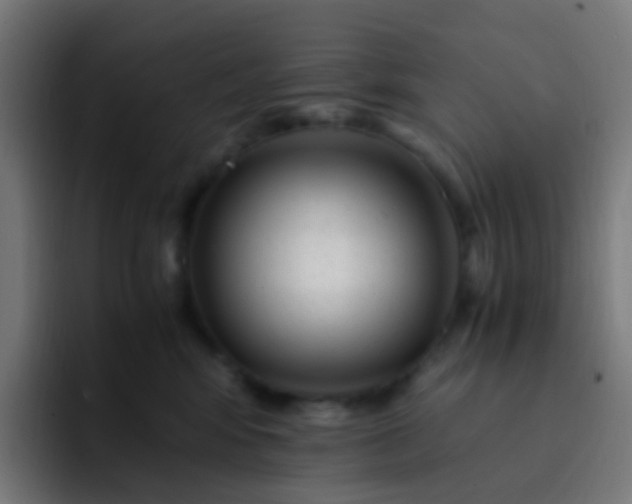 X0000093230424200710101407