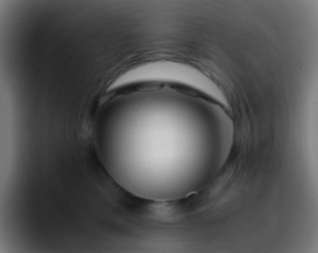 X0000093230425200710101407