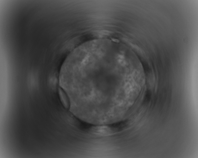 X0000093230427200710101407