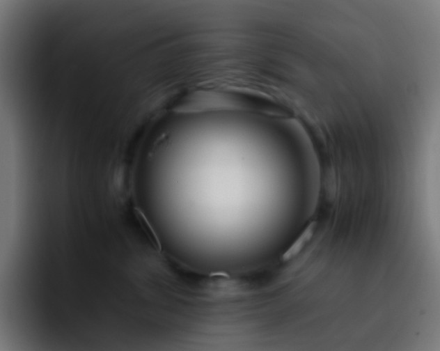 X0000093230428200710101407