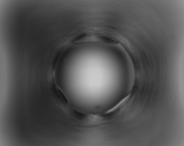 X0000093230429200710101407