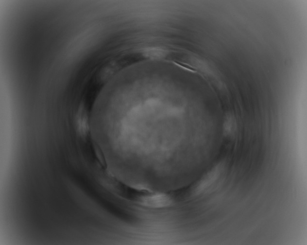 X0000093230431200710101407