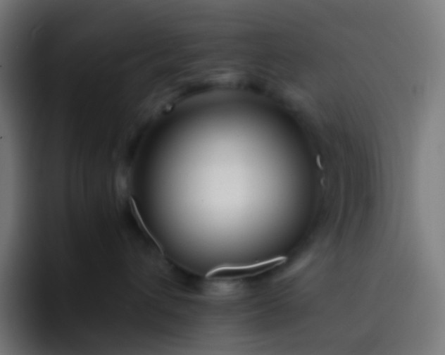 X0000093230432200710101407