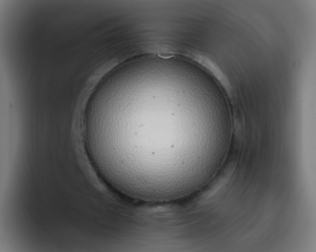 X0000093230433200710101406