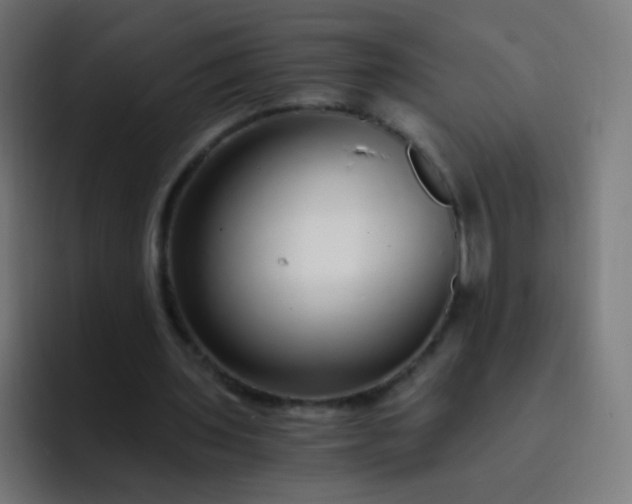 X0000093230435200710101406