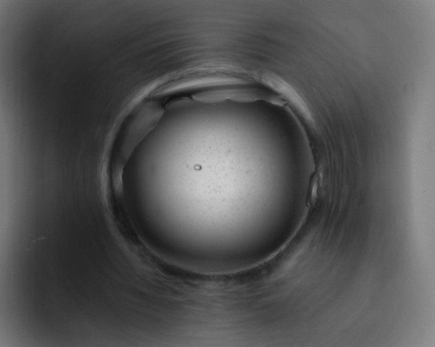 X0000093230436200710101406