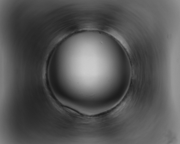 X0000093230437200710101406