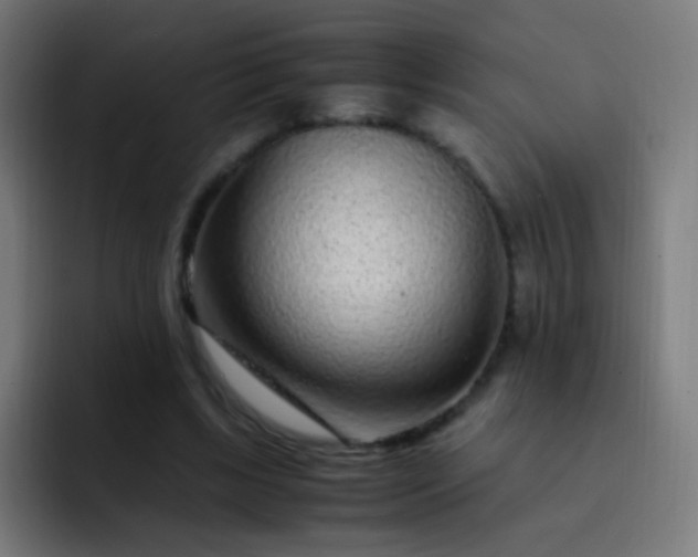 X0000093230443200710101406