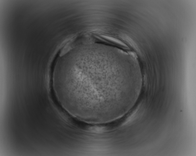 X0000093230444200710101406