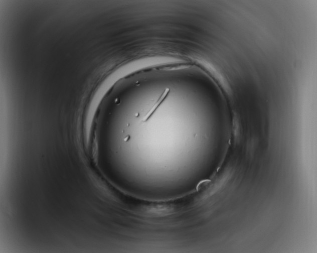 X0000093230445200710101406