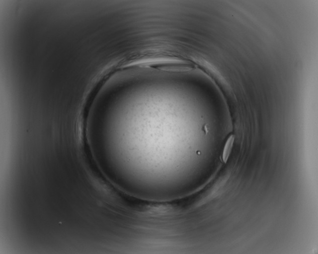 X0000093230446200710101406