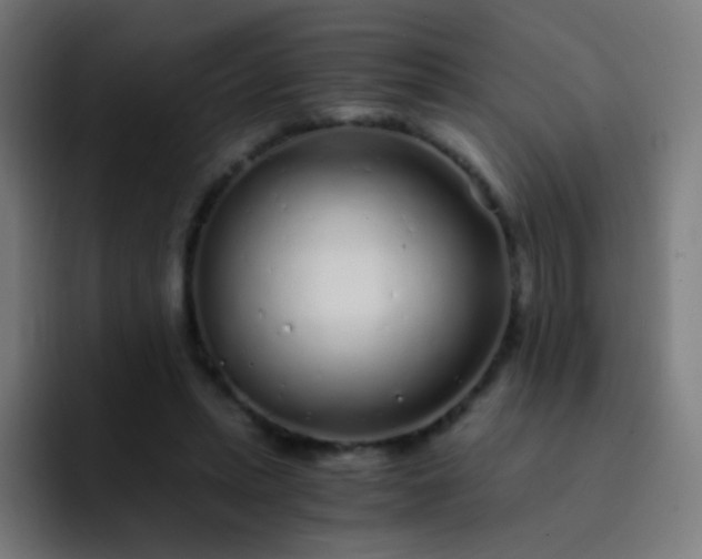 X0000093230447200710101406