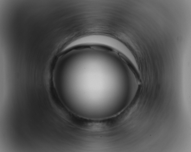 X0000093230448200710101406