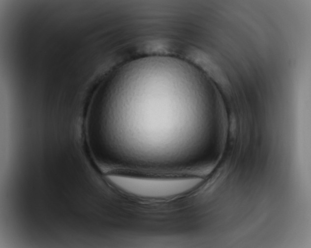 X0000093230449200710101406