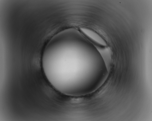 X0000093230450200710101407