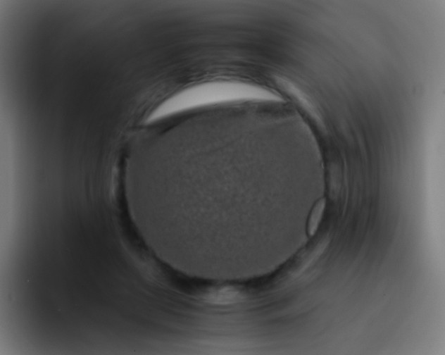 X0000093230451200710101407