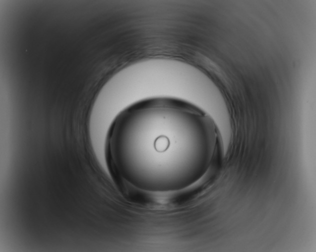 X0000093230452200710101407