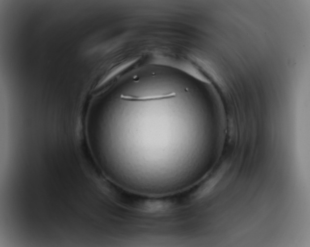 X0000093230453200710101407