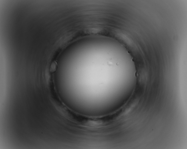 X0000093230455200710101407