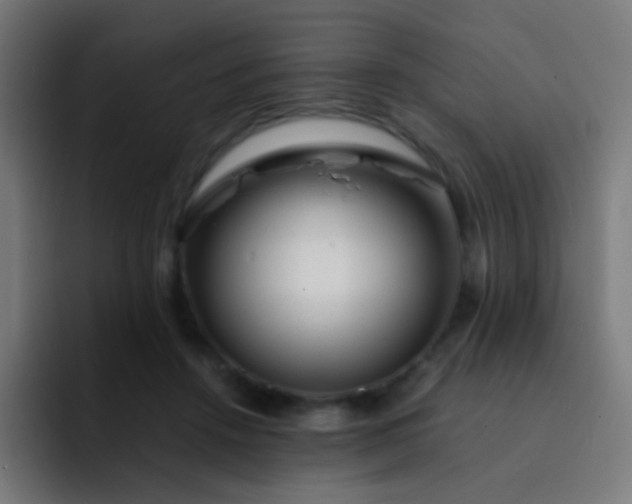 X0000093230456200710101407