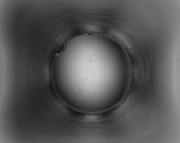 X0000093230457200710101407