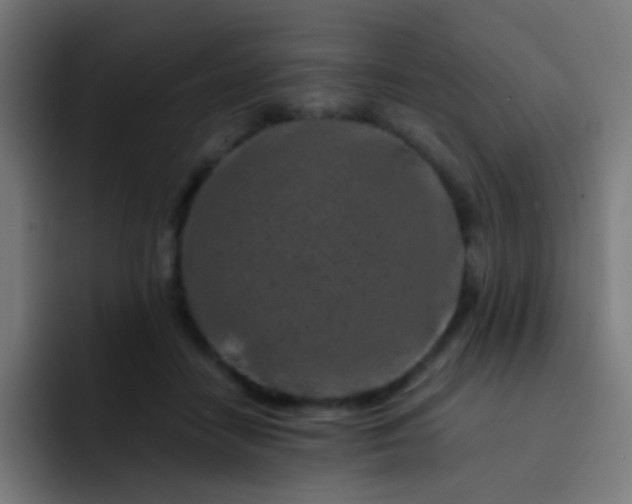 X0000093230458200710101407