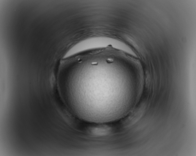 X0000093230459200710101407