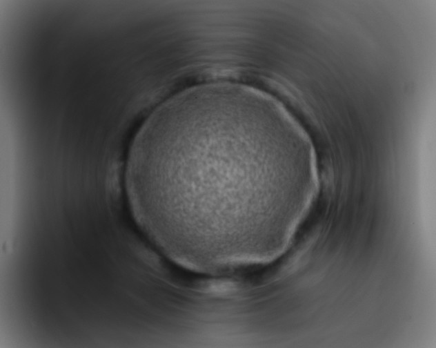 X0000093230462200710101407