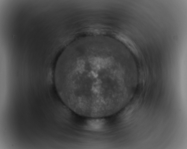 X0000093230465200710101407