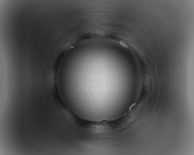 X0000093230466200710101407