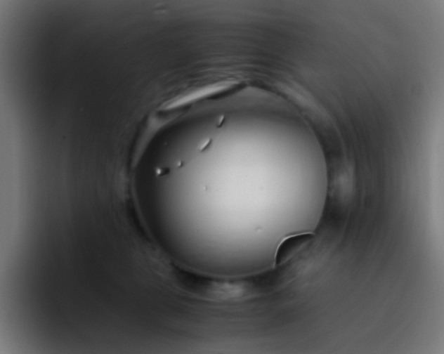 X0000093230469200710101407