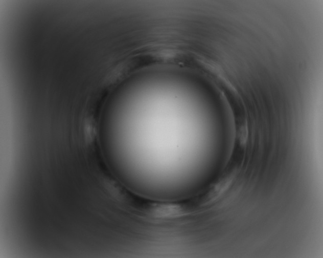 X0000093230476200710101407