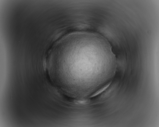 X0000093230479200710101407