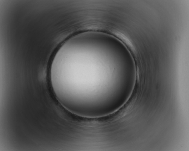 X0000093230483200710101406