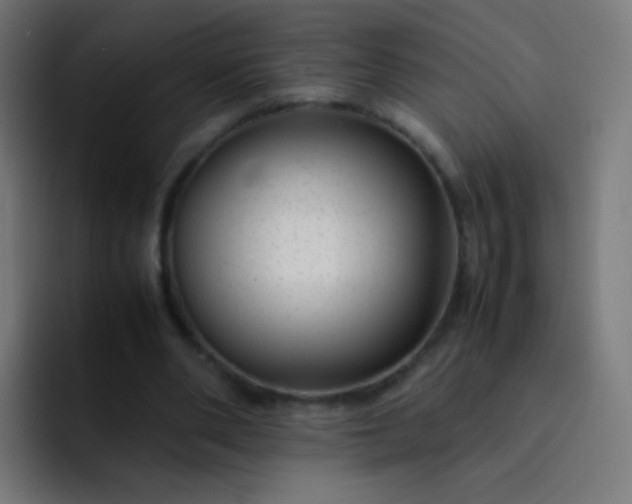 X0000093230486200710101406